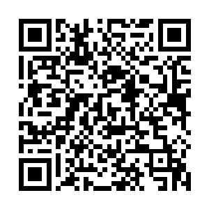 第三次的失败让那将军的内心生气了一丝的惊慌和害怕二维码生成