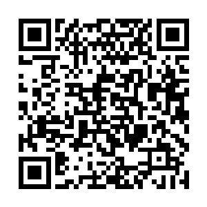 第三种就是全凭修士体内的元力向着先天仙宝内输送二维码生成