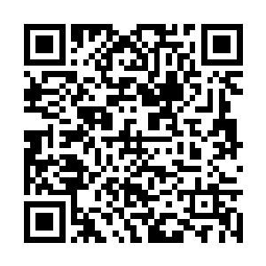 第二个进入仙界的域外天魔是圣级大圆满初期巅峰二维码生成