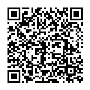 第二份玉简里直接就将御兽宗关于喂养灵兽类的丹药都标注了出来二维码生成