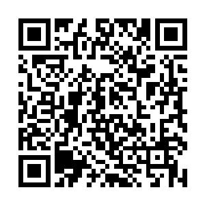 第二只第三只第四只……无数只乌鸦成群结队的出现二维码生成