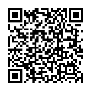 第二天当媒体记者找到了当时正在意大利拍电影的海伦娜二维码生成