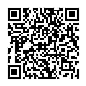 第二天当球队在横滨开始第一堂公开训练课的时候二维码生成