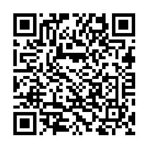 第二天清晨阮荷黎花了一个小时化好妆第一个到实验基地二维码生成