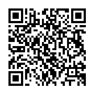 第二天立刻无数有心人发现本来只是作为废物使用的虚光残骸二维码生成