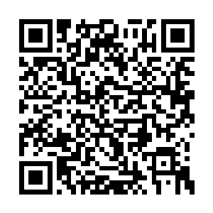 第二天马加特在给荣光单独开小灶的半个小时里二维码生成