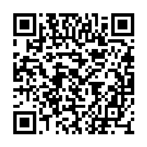 第二是它第一次经历如此能够发生锐变的沉睡期二维码生成