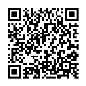 第二期培训班里只有两个还有一个是地区文联党组书记二维码生成