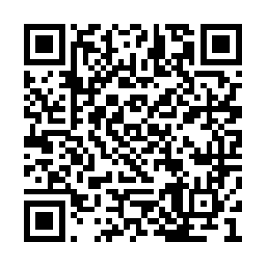 第二种就是在先天仙宝中有一个微型的芥子空间二维码生成