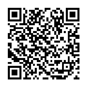 第二重生之无限逆转最新章节个劫雷很快凝聚而成二维码生成