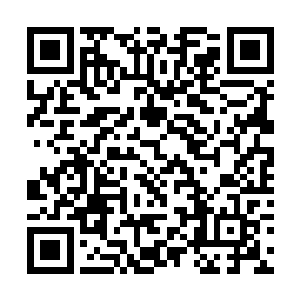 笼罩拳头的拳焰幻化成一只欲择人而噬的小火蟒蛇头二维码生成