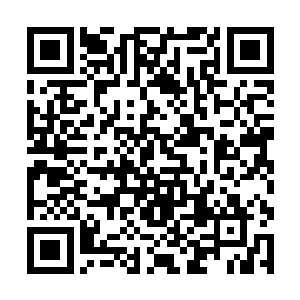 等他们都懂事了就知道现在自己做的事情有多残忍了二维码生成