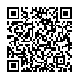 等他在完整的阅读一次记载在星蟒录上的文字和图形二维码生成