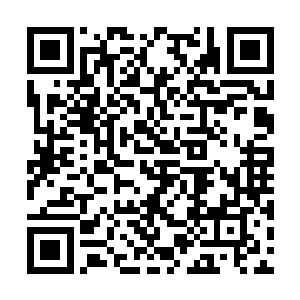 等以后师弟拥有足有强大的实力保住那件金丝甲时二维码生成