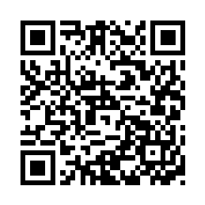 等几天和小胖一起再回来一次也就可以了二维码生成