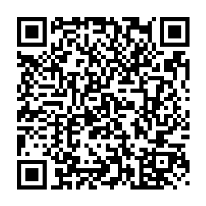 等到了边缘地带的时候找地方休息一下调整好状态再进入低级妖兽区二维码生成