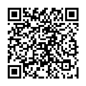 等到他找到需要的草药一边采一边给几个人介绍的时候二维码生成