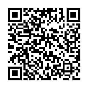 等到他瞧见吴虎臣眼睛里头那邪恶的微笑的时候二维码生成