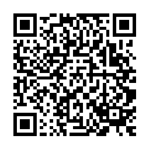 等到他知道自己体质可以克制小松鼠的时候表情一定会很精彩二维码生成