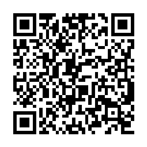 等到侍女退下了叶璃才有些愧疚的看着暗二问道二维码生成