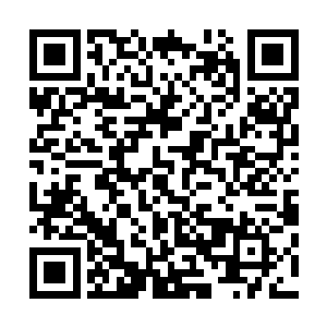 等到倾城公子将解药研制出来治好了紫月公主后再送回宫中二维码生成