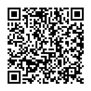 等到秦倚天的父母或者更多的大人物赶过来混个脸熟或者握一握手二维码生成