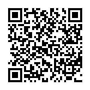 等到负责这些灵田的修士上报到元婴期修士那里的时候二维码生成