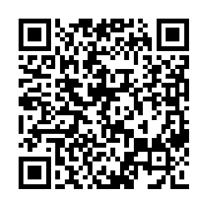 等到身体消化完这个果实对身体带来的改造之后二维码生成