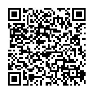等到陛下冷静了再找了合适机会陈述利弊求了陛下把影卫给放出来二维码生成