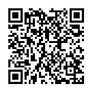 等回头老祖把此虫之内那小子留下的气息炼化之后二维码生成