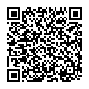 等处理完了冰蟾和闪电貂的尸体龙傲天将目光放到了湖中心的元素果树上面二维码生成