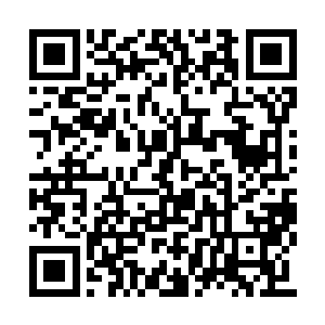 等她终于攒够这些钱给她送一幅宝石比翼鸟的话二维码生成