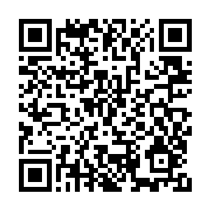 等我们救活了自己的伙伴儿一定会回来感激您的二维码生成