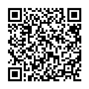 等着……等着被陶贼亲手……亲手给斩……斩下二维码生成