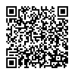 等着六辆车齐刷刷的停在了看起来还很排场的一家跆拳道馆的门前停车场上二维码生成