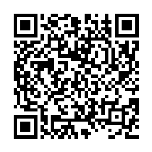 等着我这只初生的羊犊自己乖乖送上门去……我的智商二维码生成