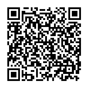 等着最后定下来之后我就交给海上作业的公司在海里给我打水泥桩子二维码生成