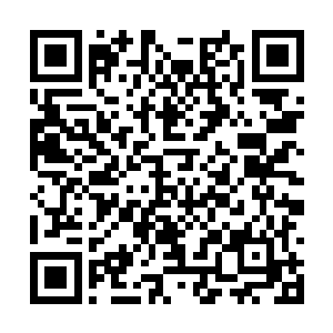 等着番叔查查不敢言语之后这才声音柔和了一点道二维码生成