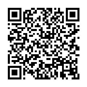 等着飞机落地的时候这时间己经是腊月二十五了二维码生成