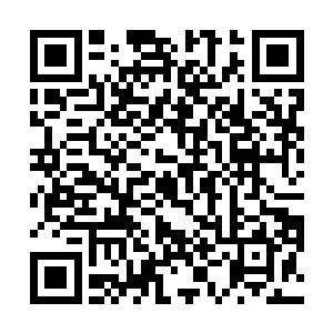 等等……我查西尔维娅她不是应该第一个跳出来反对吗二维码生成