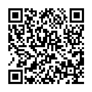 等长阳青云真的联合了兽神大陆和天元大陆上的强者二维码生成