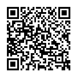 等陆仲明夫妻处理好谷州和岷灵剑派的事情之后二维码生成