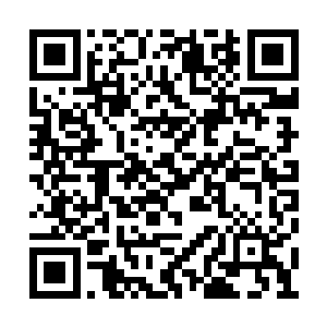 筑基后期的神识释放的范围足足笼罩了整个张家二维码生成