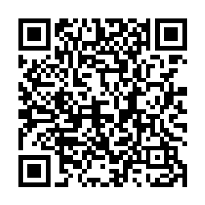 简一坎皮恩作为女导演首次赢得奥斯卡提名已经是突破二维码生成