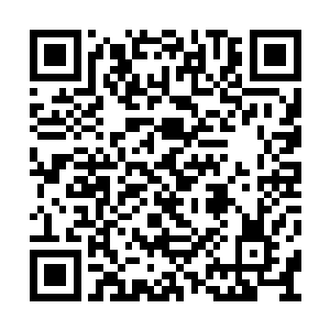 简凌找了几个专攻刑事案的顶尖律师做她的助理二维码生成