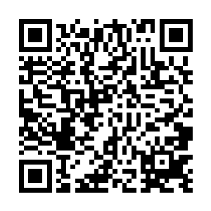 简单的说了一下唐城发现的那十来个大师级高手的来历二维码生成