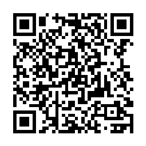 简洁明了的专辑却是让人一下就认出了这位歌坛天后二维码生成