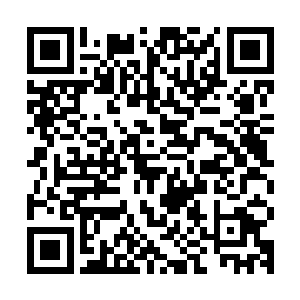 简洛诗的视线首先是被顾倾欢脖子上和手腕上的首饰吸引了过去二维码生成