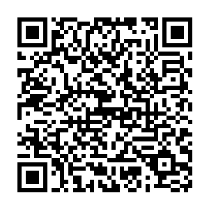 简直就像是一个两个抱着大人的腿连哭带叫想要买棒棒糖的小孩子嘛二维码生成