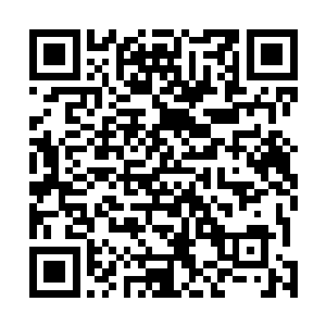 简直就是将神谕区域几十个世家几乎就是当做了手下佃户二维码生成